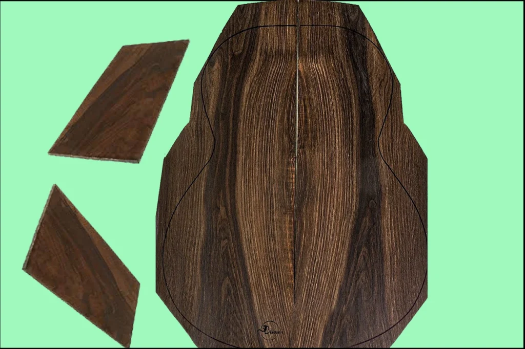 problema guitarras de palosanto de rio