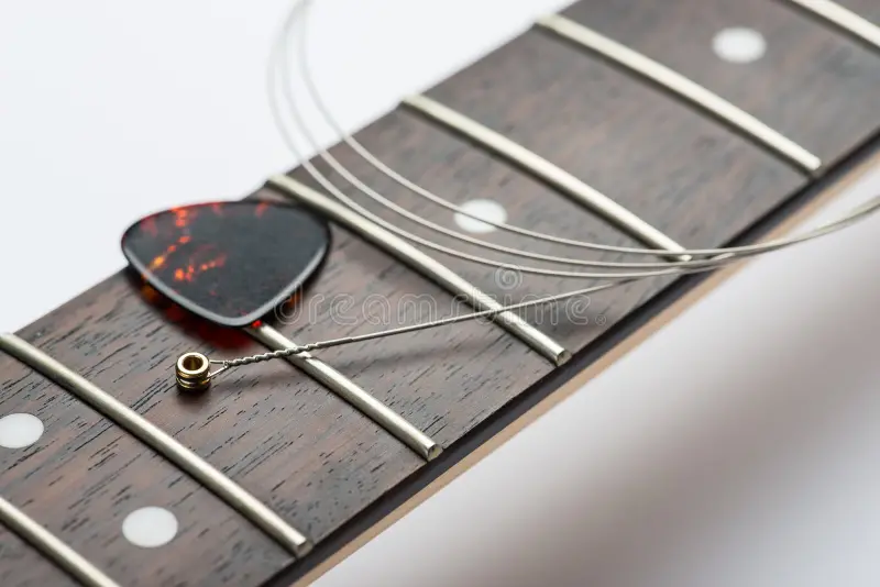 trastes guitarra electrica